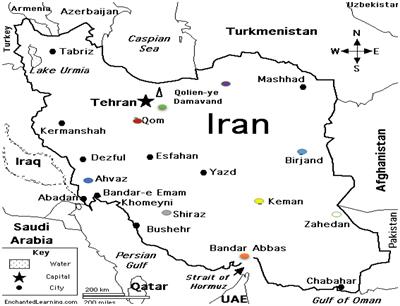 Characterization of Phenotypic and Genotypic Diversity of Stenotrophomonas maltophilia Strains Isolated From Selected Hospitals in Iran